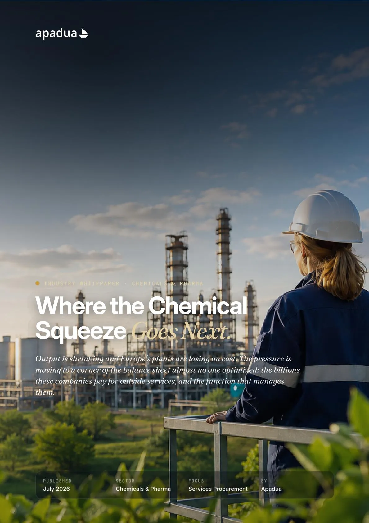 The Chemical Squeeze cover